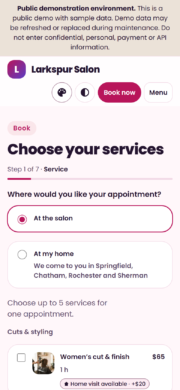 Hair salon booking software on a phone: choosing a service (public demo)
